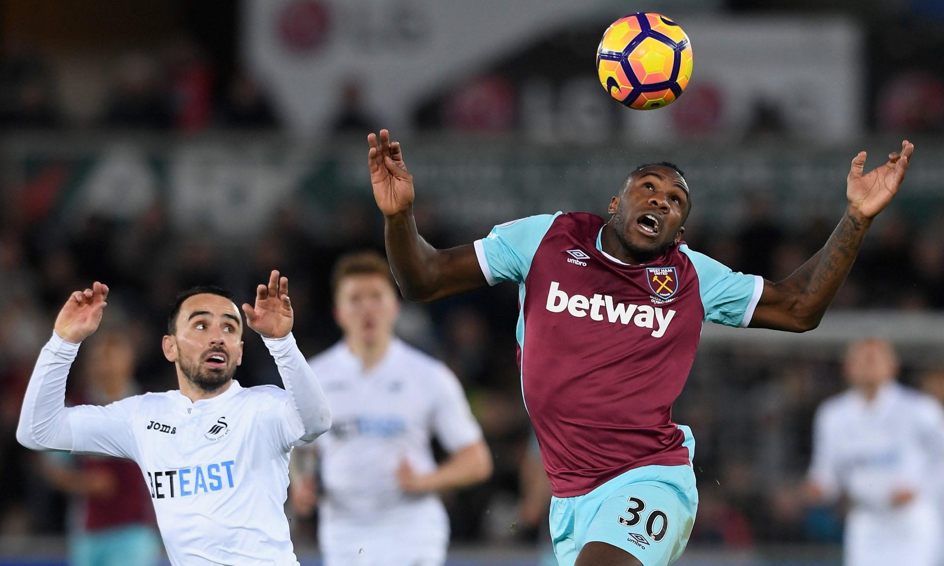 前夕迷茫焦 前夕迷茫焦